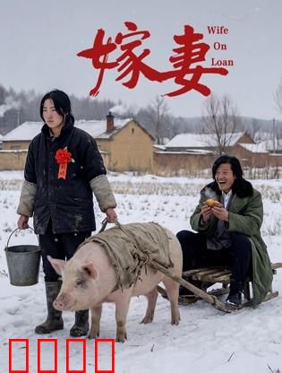 嫁妻：复仇新娘的逆袭
