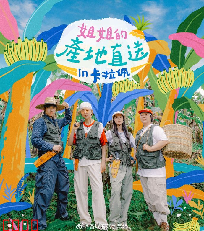 姐姐家的产地直送3：姐妹情深