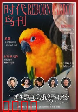 重生鹦鹉：轮回之翼