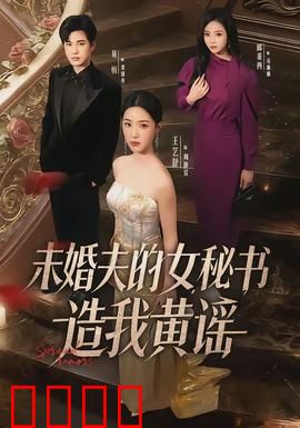 未婚夫的女秘书造我黄谣：职场反击记
