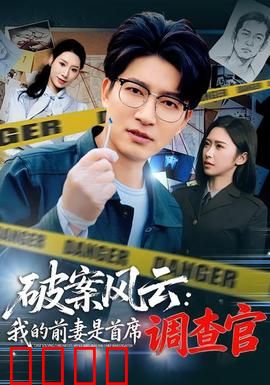 破案风云：正义铁拳