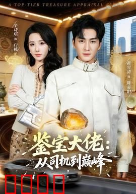 鉴宝大佬：一鉴定乾坤