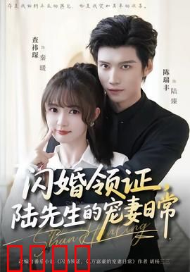闪婚领证，陆先生的宠妻日常：先婚后爱甜蜜