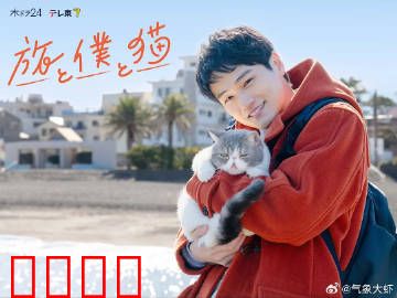 旅行和我和猫：喵星人伴我行