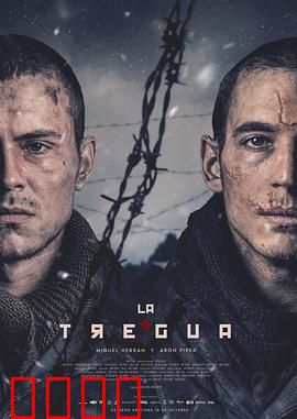 休战：归乡之路