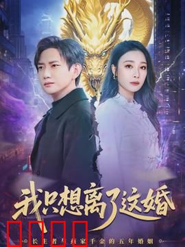 《离婚风暴：爱与恨的较量》