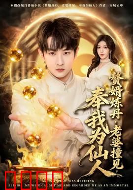 赘婿炼丹，老婆撞见，奉我为仙人：逆袭仙途