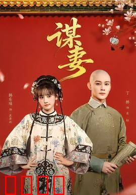 谋妻：妻子失踪之谜