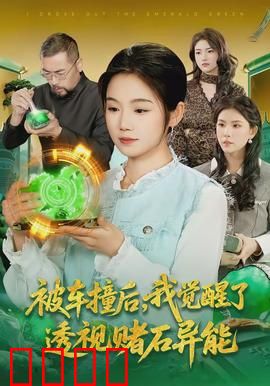 被车撞后，我觉醒了透视赌石异能了：翡翠之王
