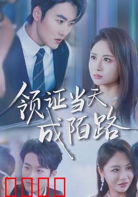 领证当天成陌路：婚礼惊变