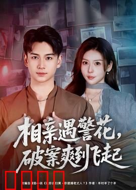 相亲遇警花，破案爽到飞起：刑侦爱情喜剧