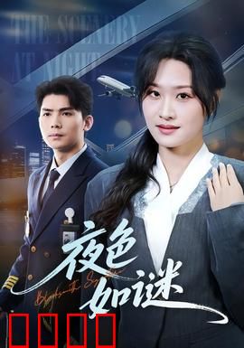暗夜狂飙：午夜追凶