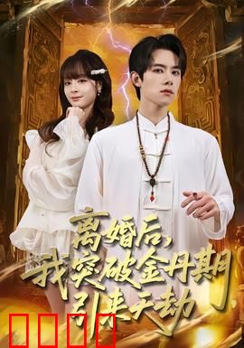 离婚后，我突破金丹期，引来天劫：修仙逆袭