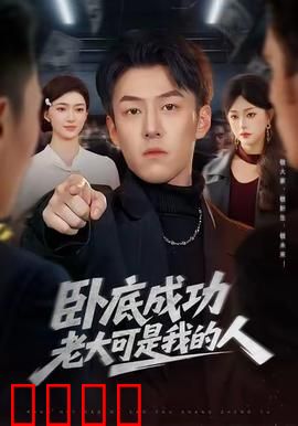 卧底成功老大可是我的人：兄弟情仇