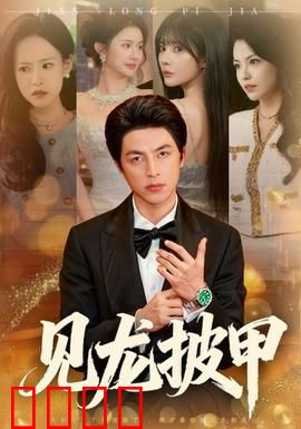 见龙披甲：子龙再战长坂坡
