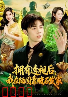 拥有透视后，我在缅国靠赌石发家：赌石之王