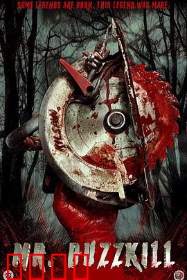 扫兴先生：破壁者的救赎