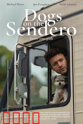 光荣之路上的狗：逆袭夺冠