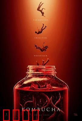 康普茶：生死发酵