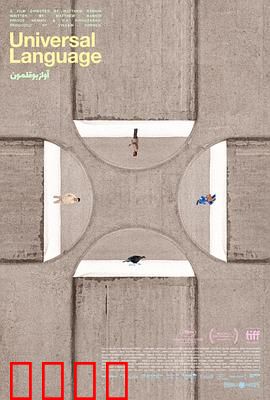共同的语言：跨文化之桥