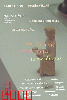 你燃烧了我：爱至灰烬