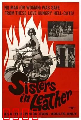 皮衣姐妹：逆袭人生