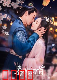 蓦然回首2025：时光逆旅