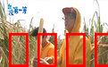 台湾第一等：秘境寻踪