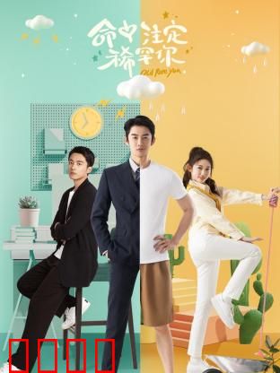 命中注定稀罕你：冤家变真爱