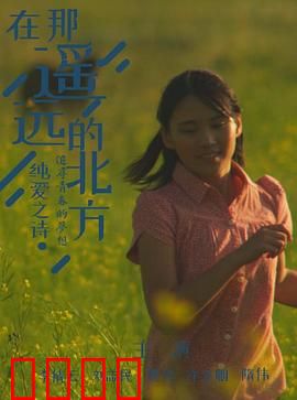 在那遥远的北方：冰原求生记