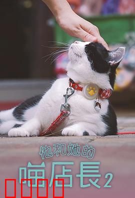 他和她的喵店长2：猫咖情缘再续