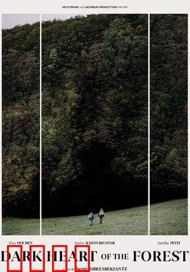 森林的黑暗心脏：迷失灵魂的深渊