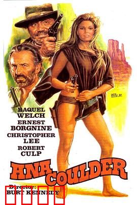 复仇的女枪手：荒野复仇之刃