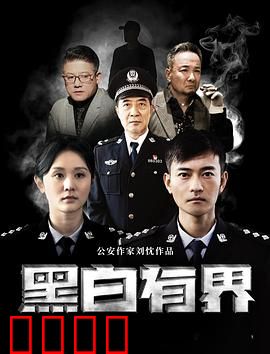 黑白有界：迷雾下的真相
