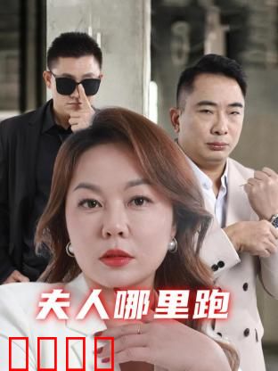 夫人哪里跑：辣妈追夫记