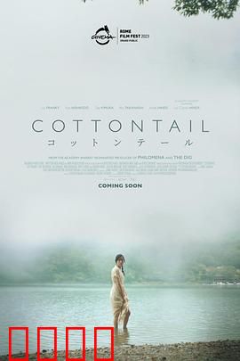 棉尾兔：丛林冒险记