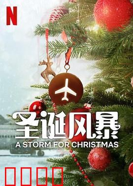圣诞风暴：风雪救援