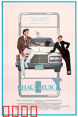 我的司机：忠诚的守护者