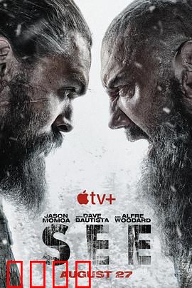 看见第二季：视觉复苏的暗战