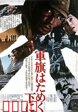 飘舞的军旗下：战争反思录