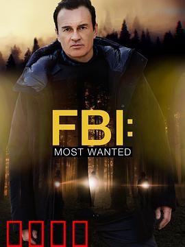 联邦调查局：暗夜追踪
