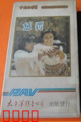 惩罚1980：血债血偿