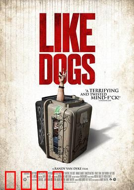 好像一条狗：卑微的爱