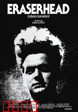 橡皮头：扭曲的生育噩梦