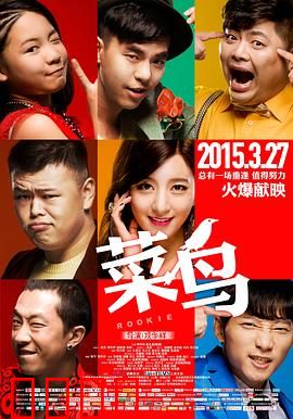 菜鸟2015：警察成长记