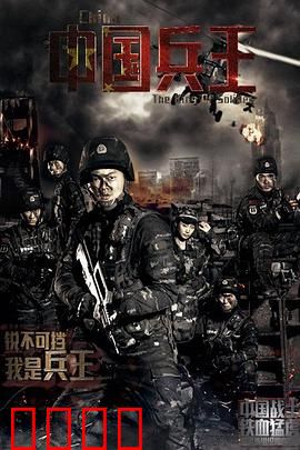 中国兵王：铁血征途