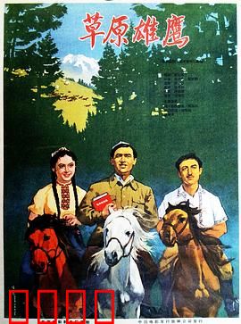 草原雄鹰：翱翔的草原之魂