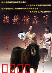 藏獒情未了：忠诚守护爱