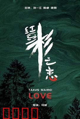 红豆杉之恋：林间情缘