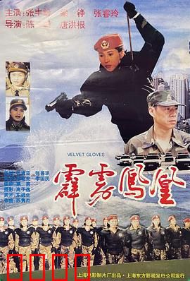 霹雳凤凰：铁血女警逆袭